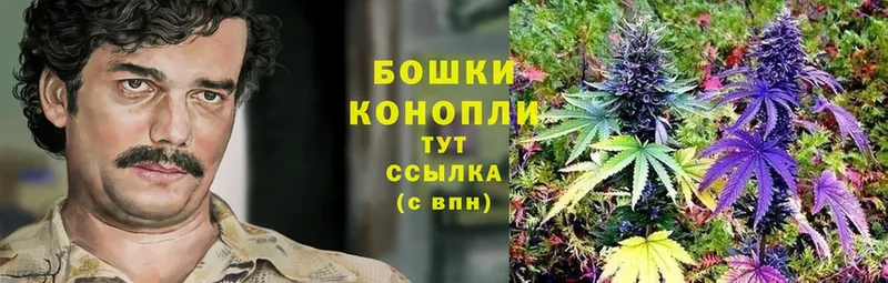 Бошки Шишки White Widow  KRAKEN как зайти  Каменск-Шахтинский 